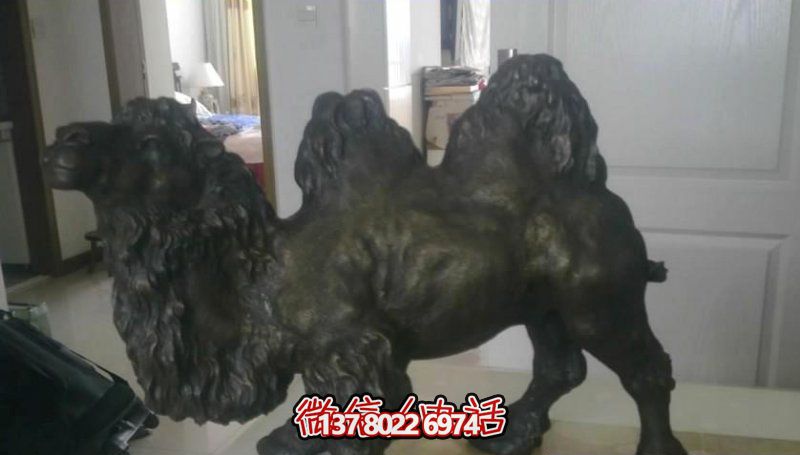 廣場(chǎng)上擺放的跪著的玻璃鋼噴漆駱駝雕塑 廣場(chǎng)上擺放的跪著的玻璃鋼噴漆駱駝雕塑